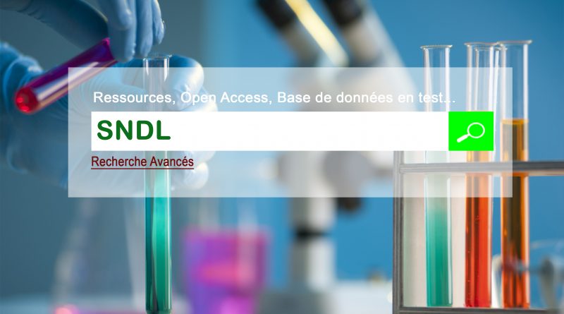 Systeme National de Documentation en Ligne »SNDL »