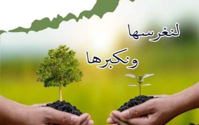 اليوم الوطني للشجرة بالتنسيق مع محافظة الغابات لولاية قسنطينة