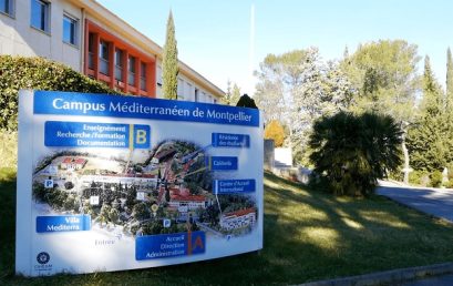 Offre de formation de l’Institut Agronomique Méditerranéen de Montpellier