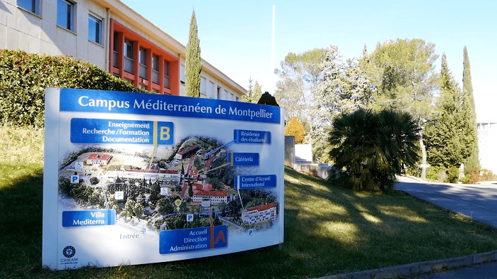 Offre de formation de l’Institut Agronomique Méditerranéen de Montpellier