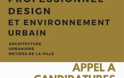 APPEL A CANDIDATURES MASTER PROFESSIONNEL DESIGN ET ENVIRONNEMENT URBAIN