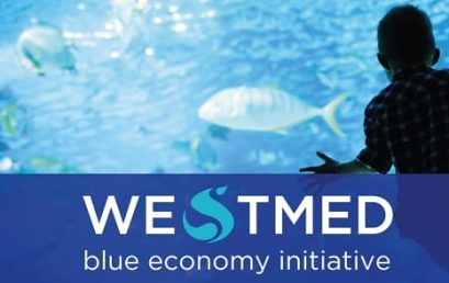 Appels à projet dans le cadre de l’Initiative WestMED