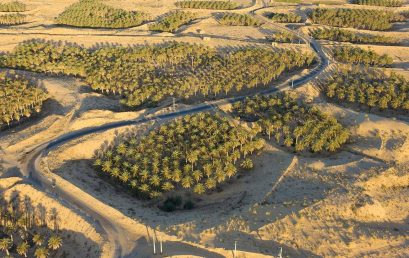 TECHNOLOGY & INNOVATION TO MODERNIZE saharan agriculture