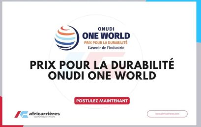 Prix de l’ONUDU « ONE World pour le développement Durable